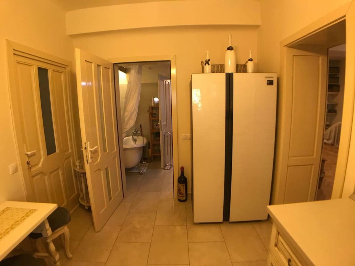Apartment Vintige Cluj-Napoca Eksteriør bilde